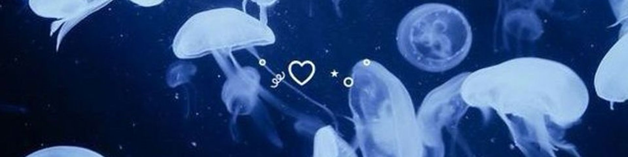 User banner