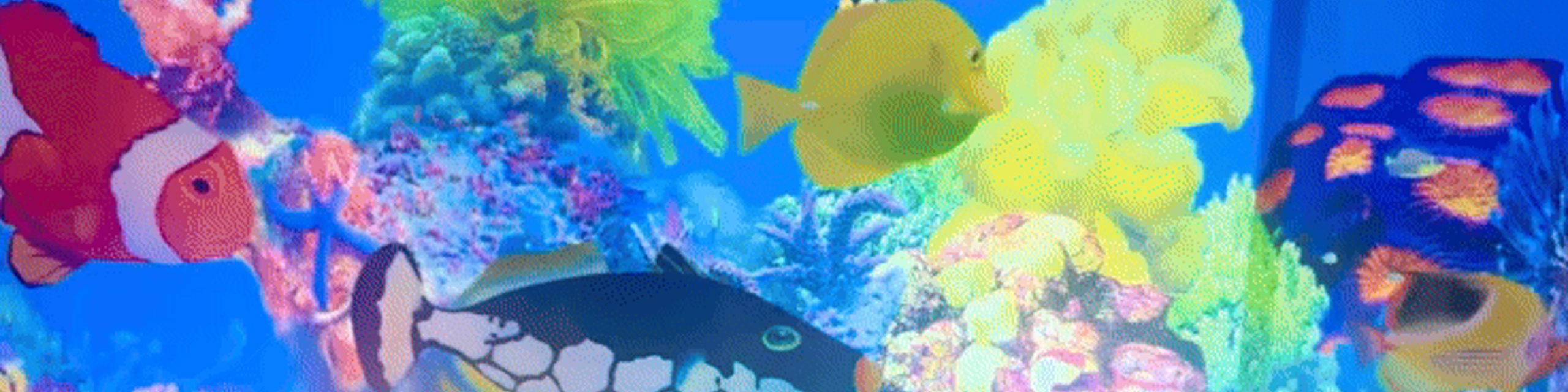 User banner